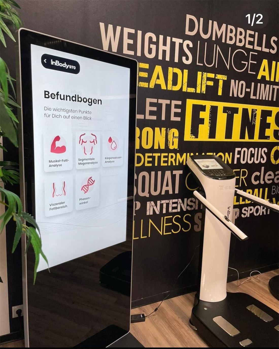 Befundbogen und Gesundheitsmessung im Studio