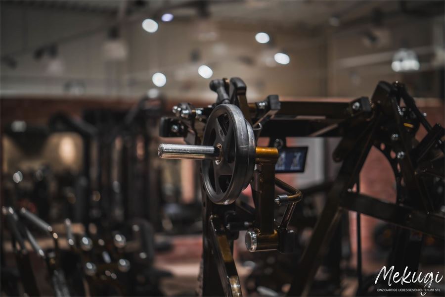 Premium Trainingsgerät im UnixX Pure